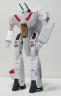Hik HCM small 30.JPG