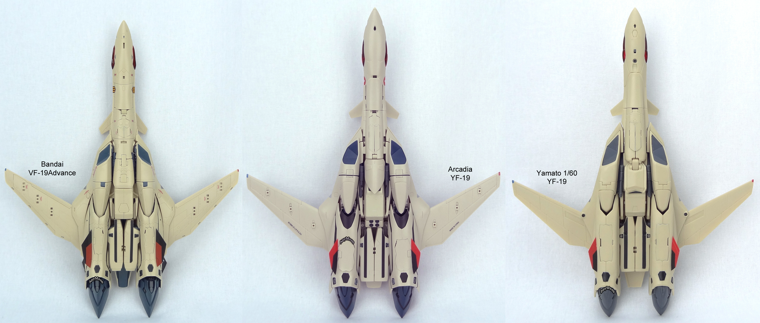 Arcadia-YF-19-2.jpg